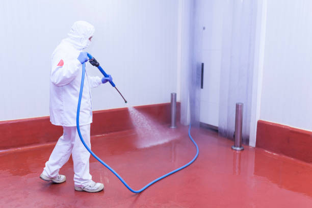 Best Rust Removal  in Riverbank, CA